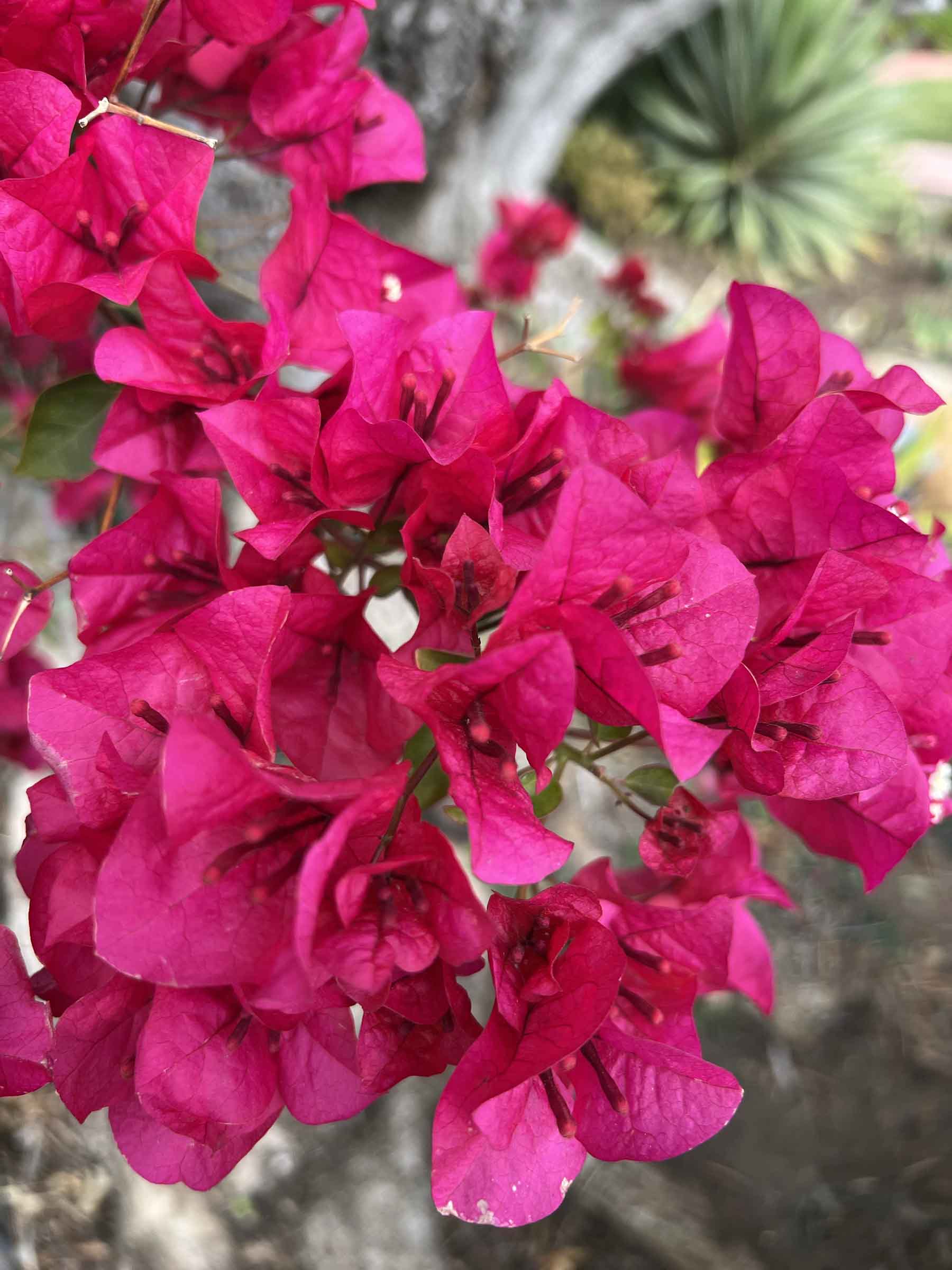 人生感悟：物迷人眼