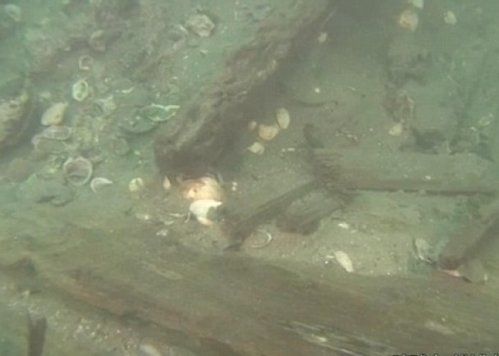 日本外海 尋獲元朝古戰船(圖)