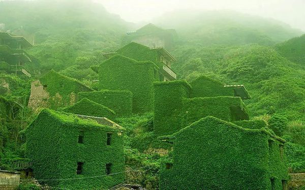 浙江舟山荒島無人村 網如童話世界（組圖）