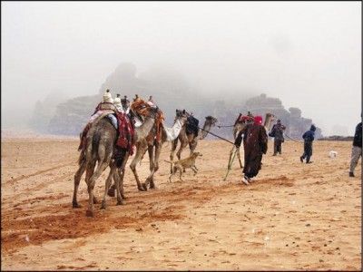 約旦沙漠下雪奇景