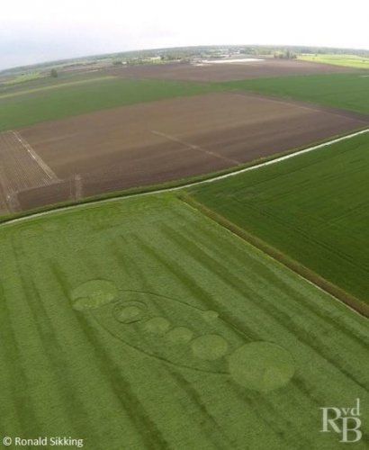 荷兰出现麦田圈 感应到强烈能量(组图)