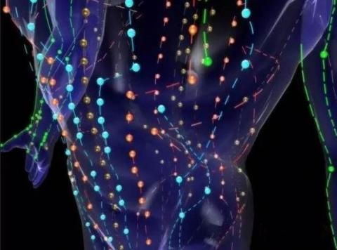 中医经络穴位存在于另外空间（组图）