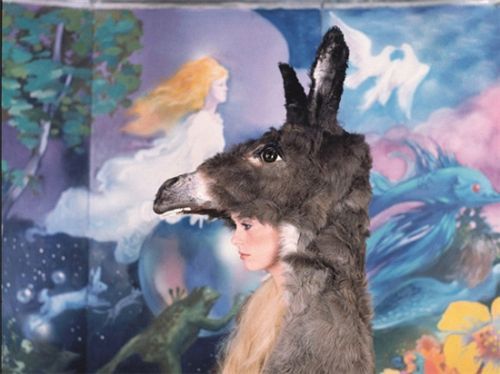 梵克雅宝 珠宝童话(组图)