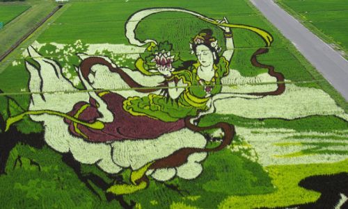 日本农民的稻田画 ！(组图)