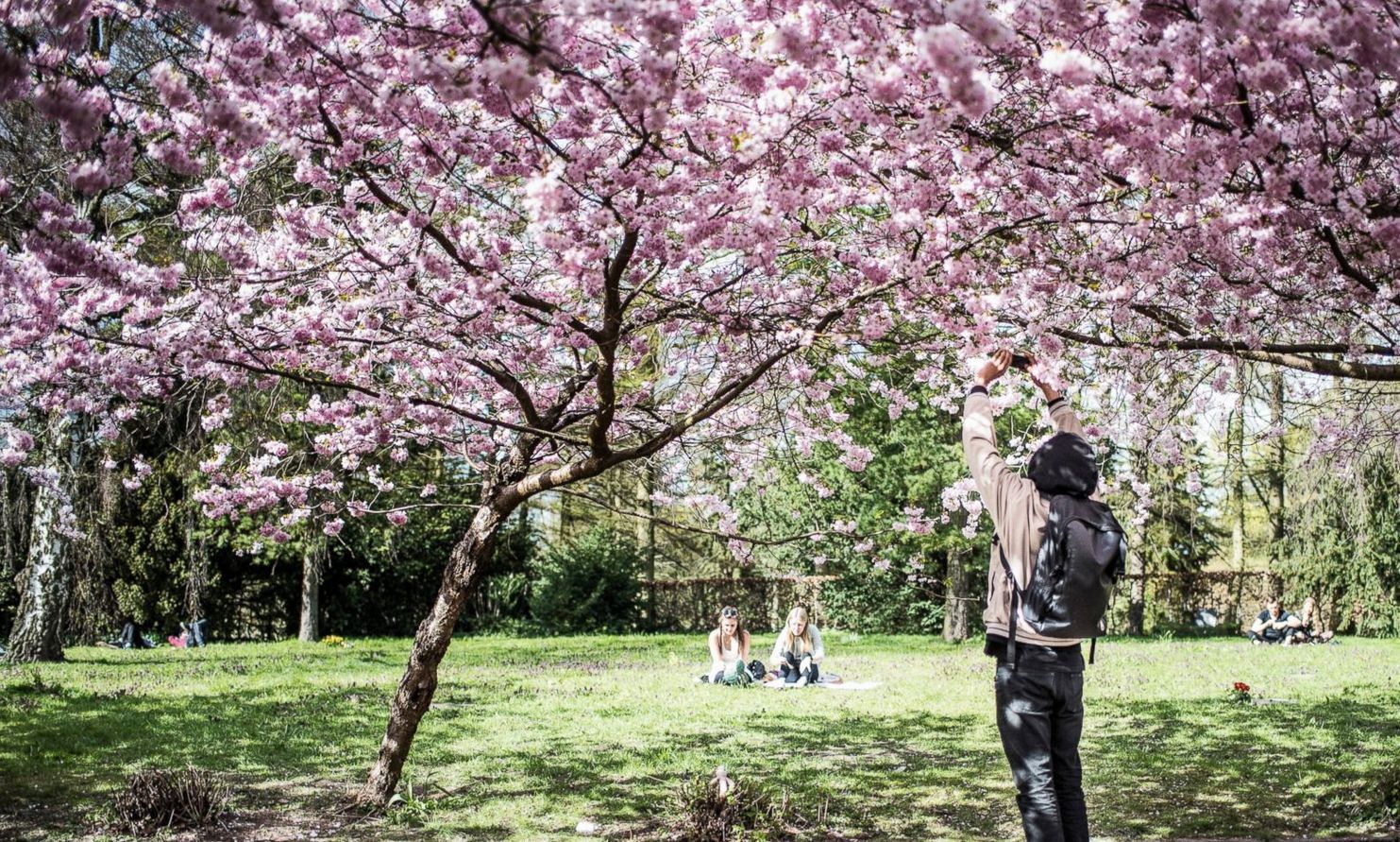 2015年4月下旬環球大事記（組圖）