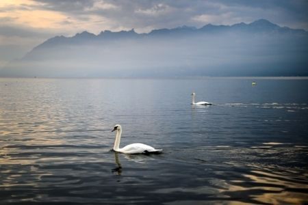 世界最快乐国家排名 瑞士居首（图）