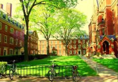 美国常春藤名校为何不见中国男孩?(图)