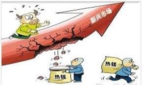 新兴市场国家外汇储备20年来首降(图)