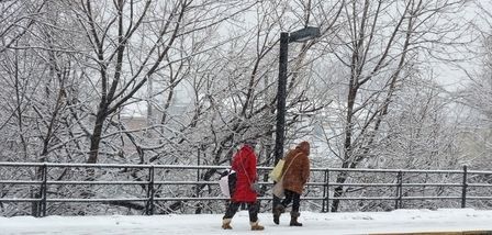 纽约再遇暴风雪袭击（组图）