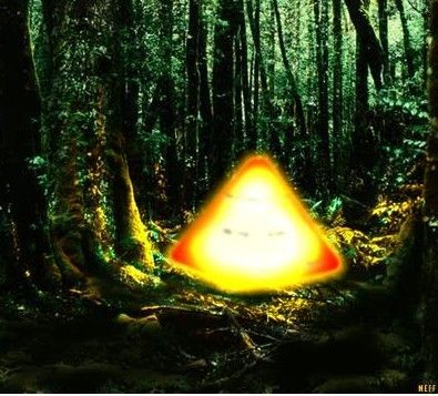 历史上十大惊人飞碟事件(组图)