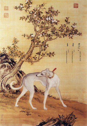 郎世宁笔下的十骏犬图（组图）