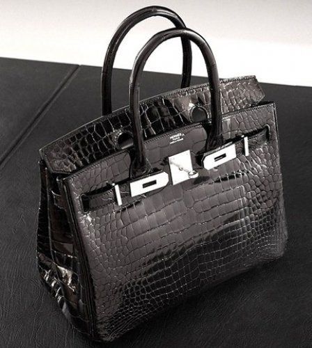 爱马仕鳄鱼皮闪钻铂金包(组图)