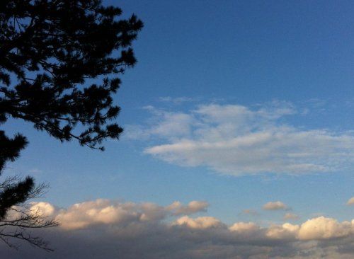 6个轮回转世的奇妙故事(图)