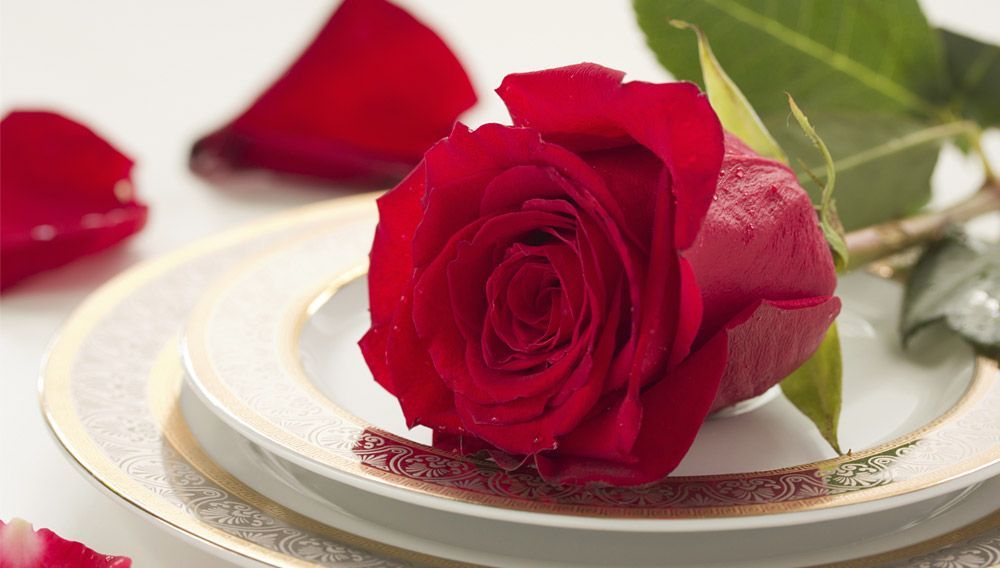 浪漫情人节 （组图）