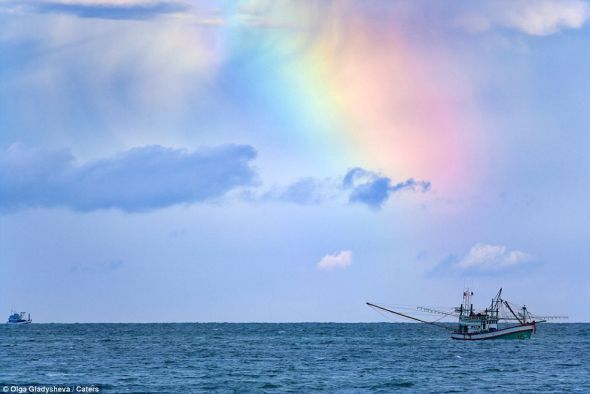 海面上的彩虹(组图)