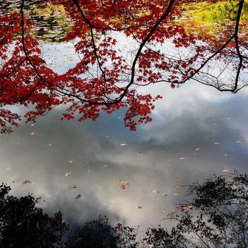 日本留学年龄限制揭秘(图)