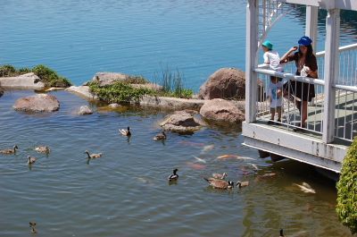 善恶观念能影响寿命长短！(图)