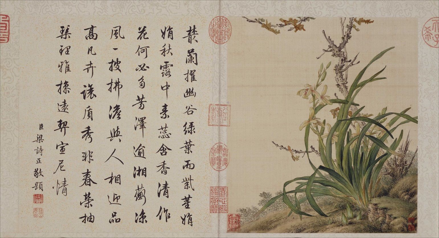 郎世宁 花鸟图册 （组图）