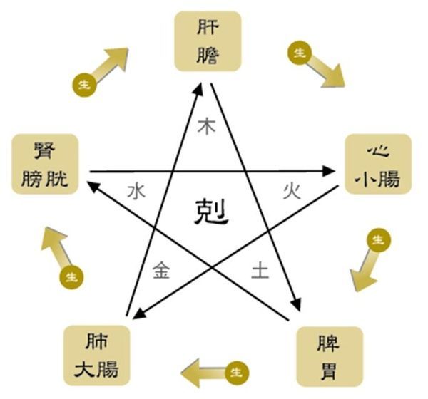 人體自愈的秘密 讓你終身受益