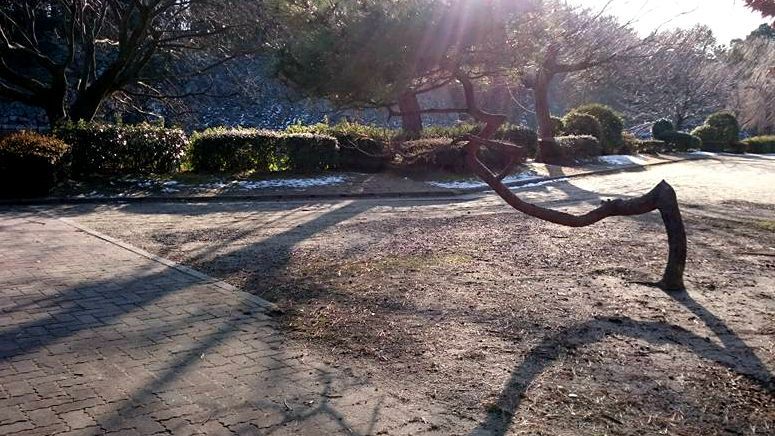 親子之間：現代神仙奇遇記