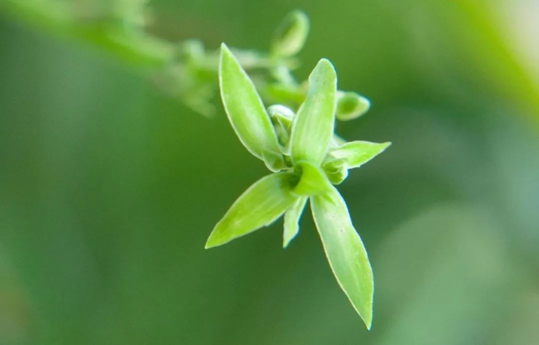 路寬不如心寬 命好不如心好