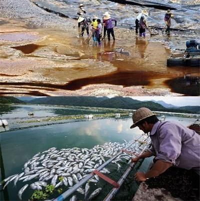 镉污染或许让你更易变老（图）