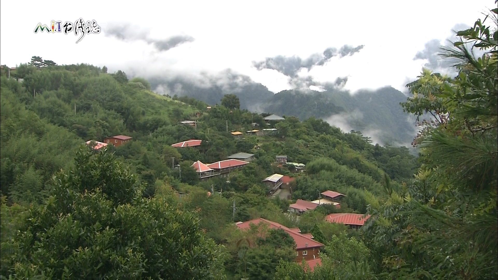 MIT台灣誌 淡水河最奧深處的部落 司馬庫斯 越嶺鴛鴦湖