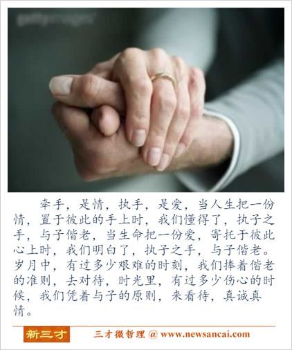 【微哲理】执子之手 与子偕老