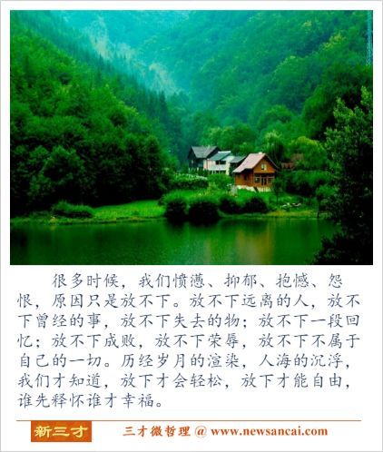 【微哲理】谁先释怀谁才幸福