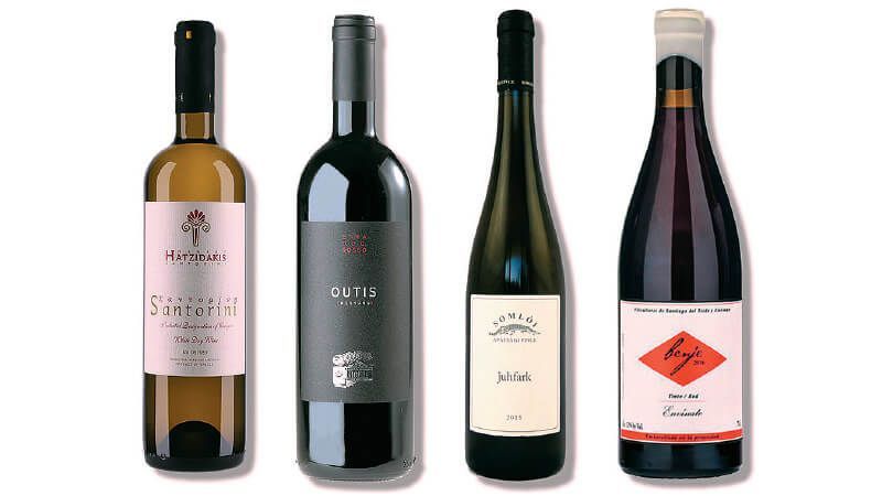 火山葡萄酒獨特韻味 吸引全球品酒人士