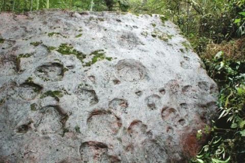 四川古蔺再次发现恐龙足迹（组图）