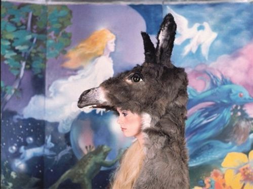 梵克雅宝 珠宝童话(组图)