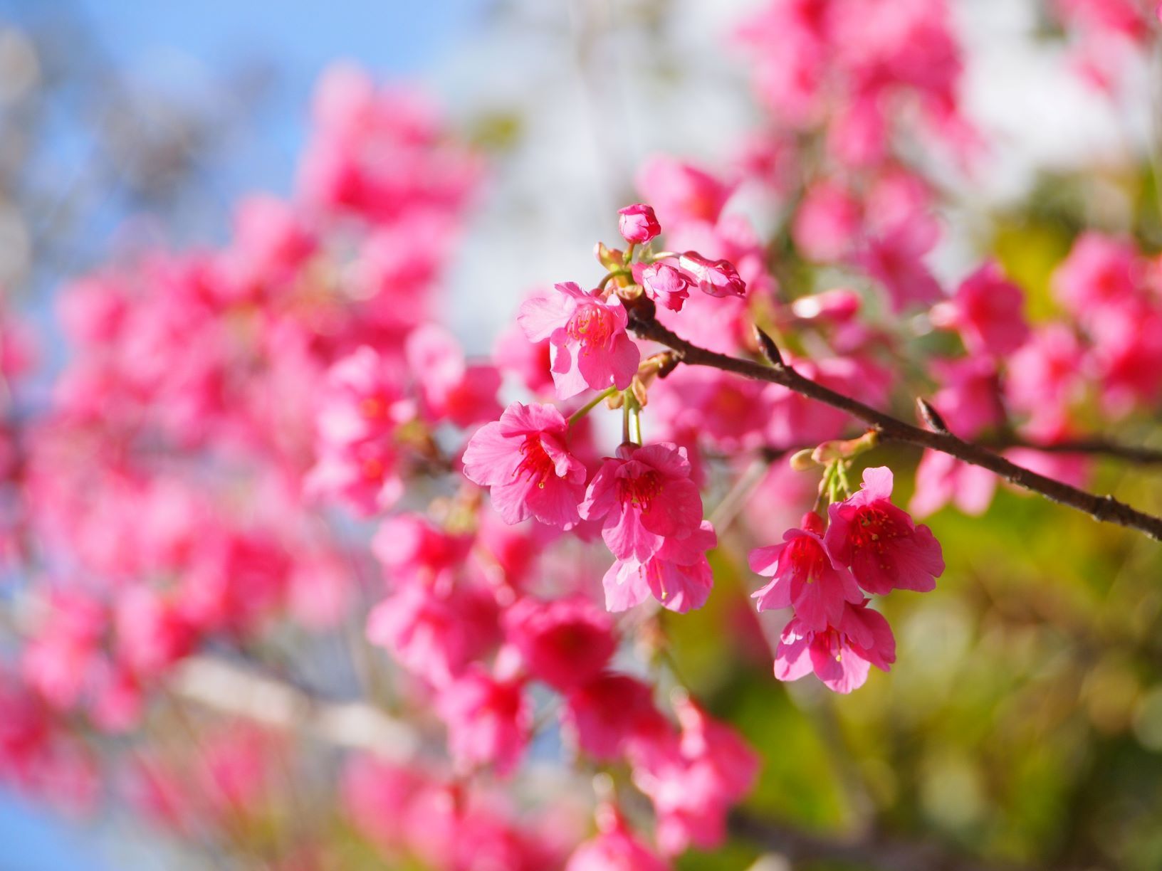 一切都是最好的安排