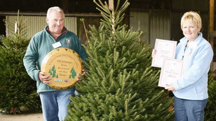 谁种的圣诞树能摆在唐宁街10号门前？