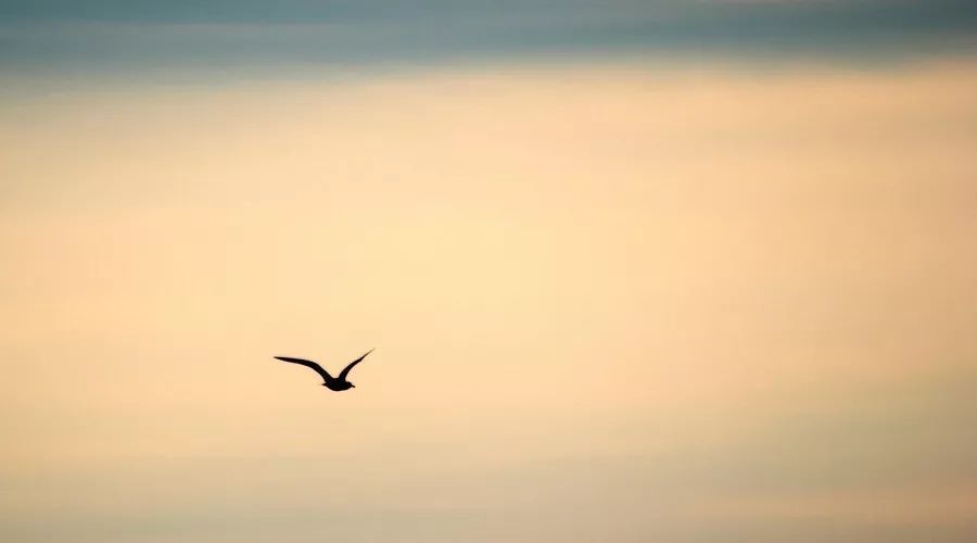 獨處 最能看清一個人的教養