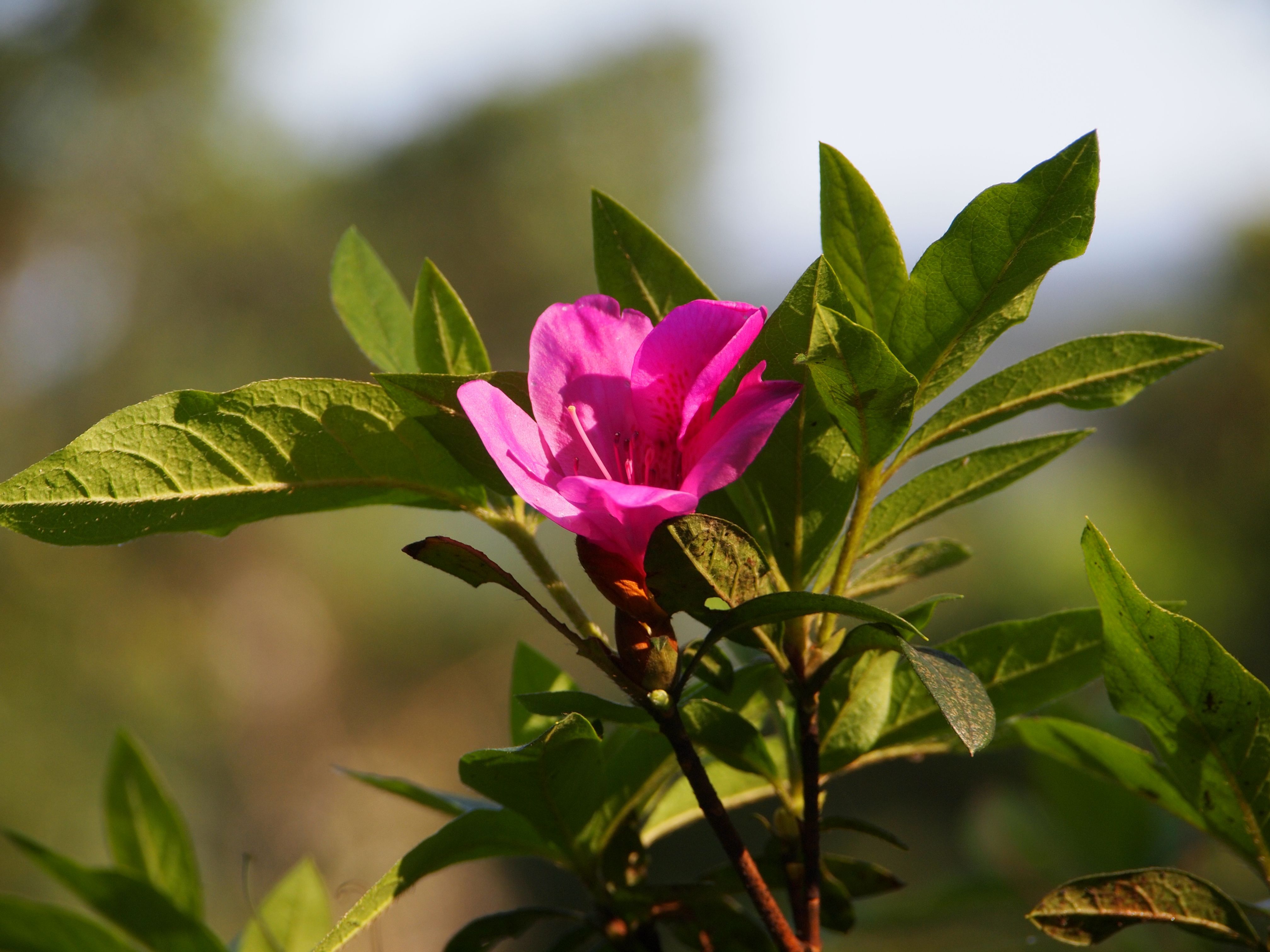 親子之間：在孩子的行為中，看到自己的影子