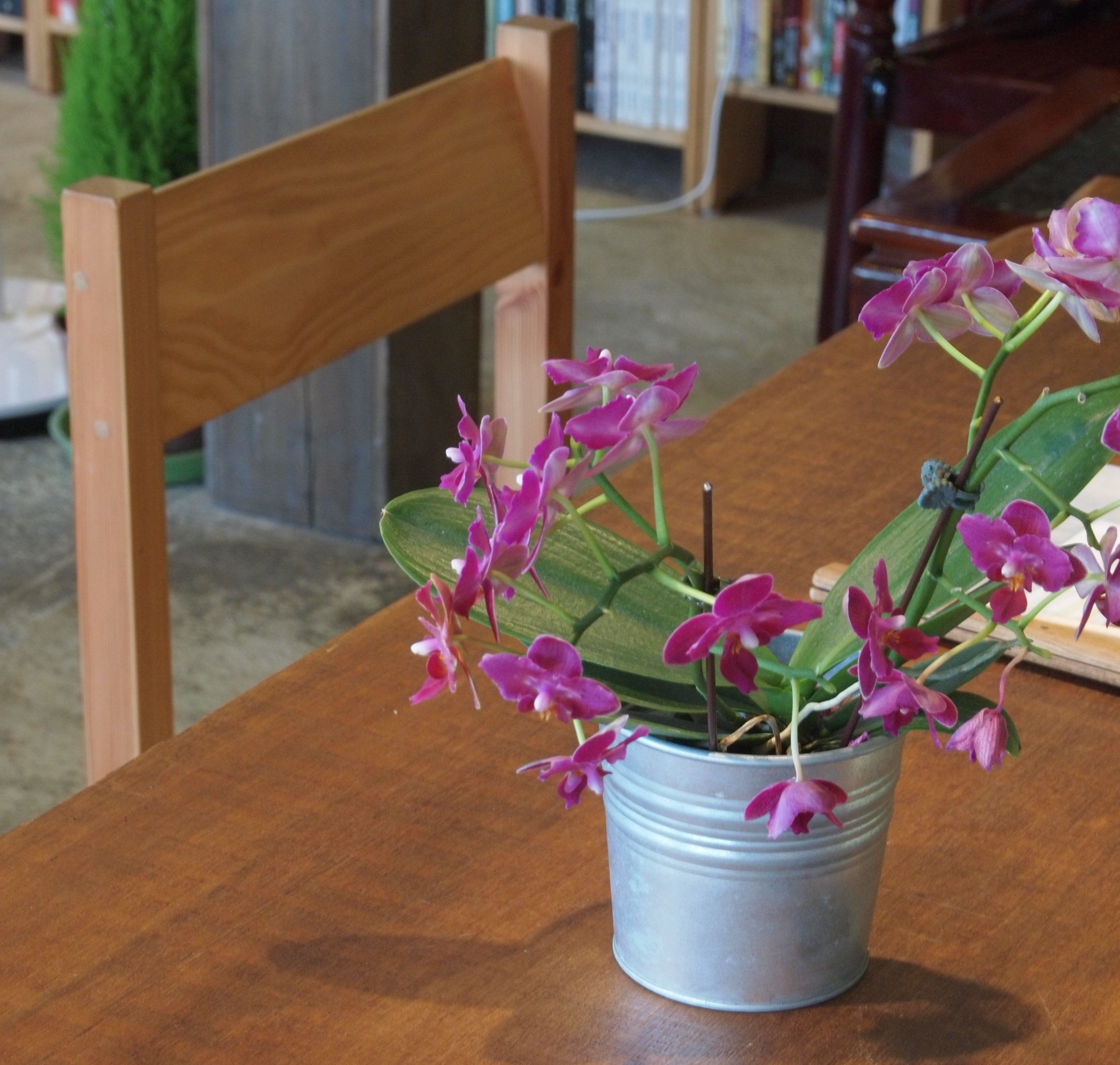 親子之間：培養自制力，人生路更順