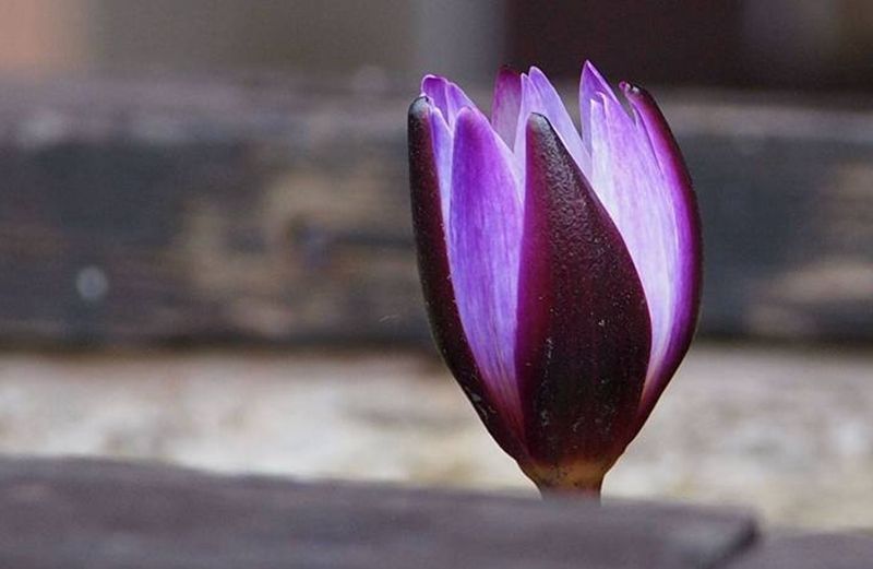 親子之間：當局者迷，旁觀者清