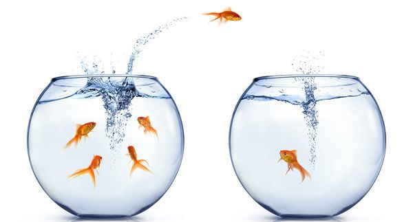 让自己全力以赴 (圖）