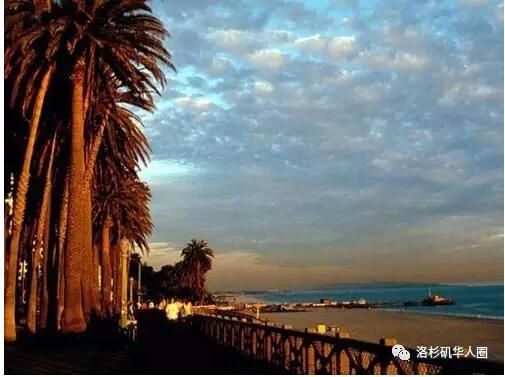 為何三分之一的美留學生都偏愛這三個州(圖)