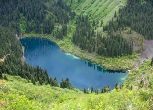 樹林在藍色的湖水中「倒立生長」