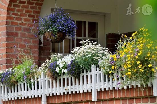 住這種房子壽命長(圖)