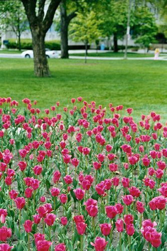 窗外〈儿童画〉