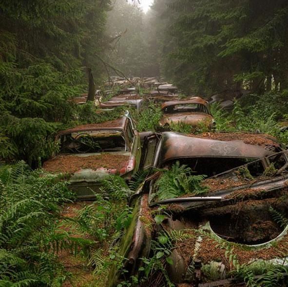 比利時男子爬山時迷路 意外發現驚呆所有人(組圖)