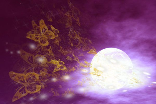 为谁取舍 (图）