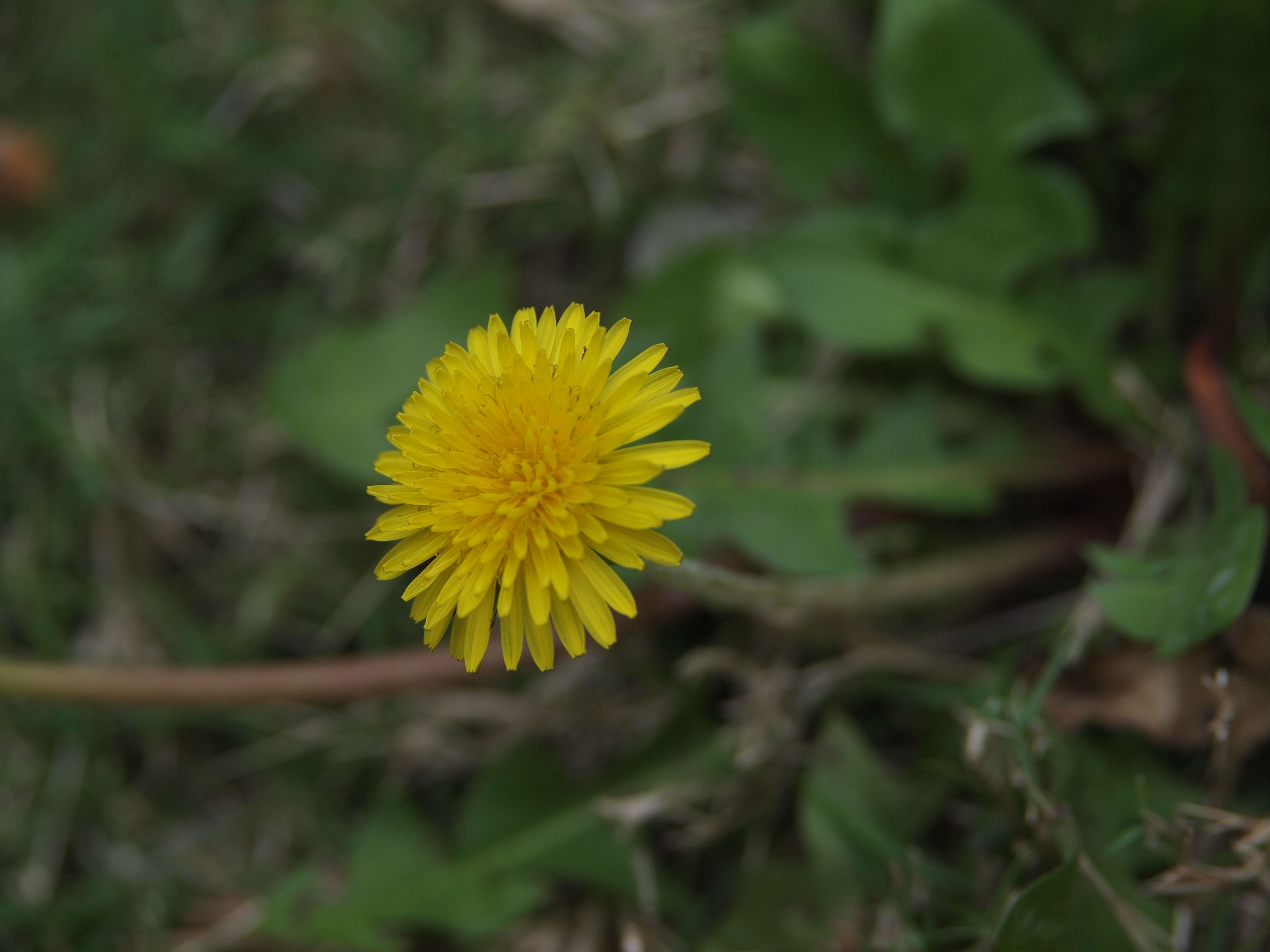 【武漢肺炎前線】精華回顧系列