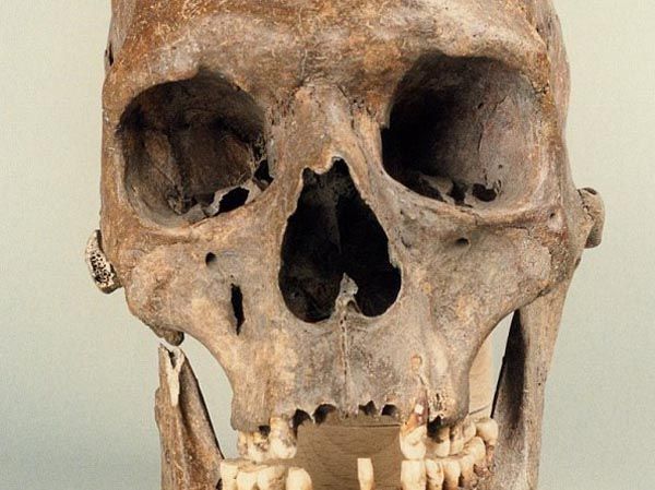 波蘭剛發現了"中世紀女巨人"的完整骨骼(組圖)