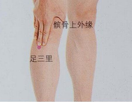 按摩穴位 快速消脂減肥法(圖)