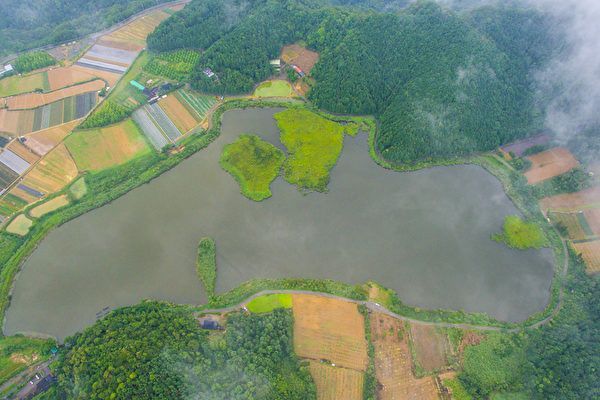 老於500年浮島 玩大風吹漂移遊戲