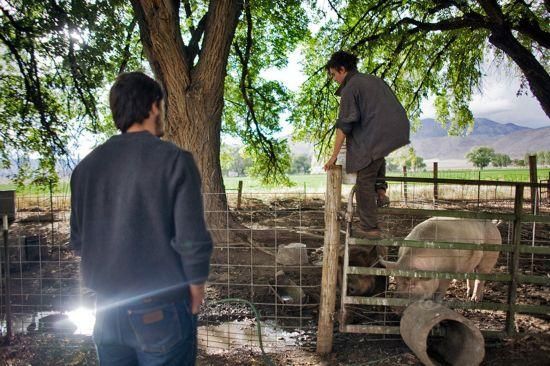 世界上最難考的大學 每年最多錄取15人